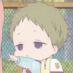 柳泊风
