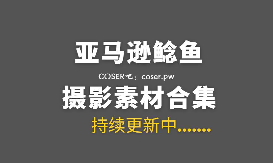 动漫博主 亚马逊鲶鱼 NO.015 – 碧蓝航线 马萨诸塞 礼服 [10P-125.18 MB]-Coser吧