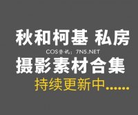网络红人 秋和柯基 艺术私房COS 119套合集打包[5754P/117GB]
