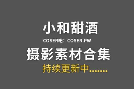 动漫博主 小和甜酒 26套cosplay图集作品合集[2176P/11.5GB]