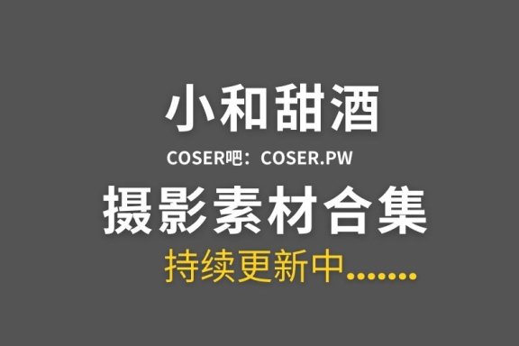 动漫博主 小和甜酒 26套cosplay图集作品合集[2176P/11.5GB]