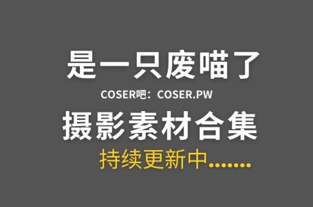 动漫博主 是一只废喵了 23套全套cos作品合集[1500P/6.83GB]